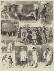 Skizzen auf der Smithfield Club Viehschau